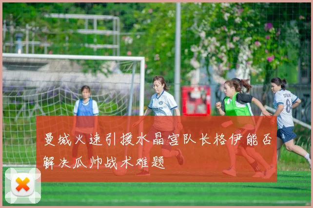 曼城火速引援水晶宫队长格伊能否解决瓜帅战术难题