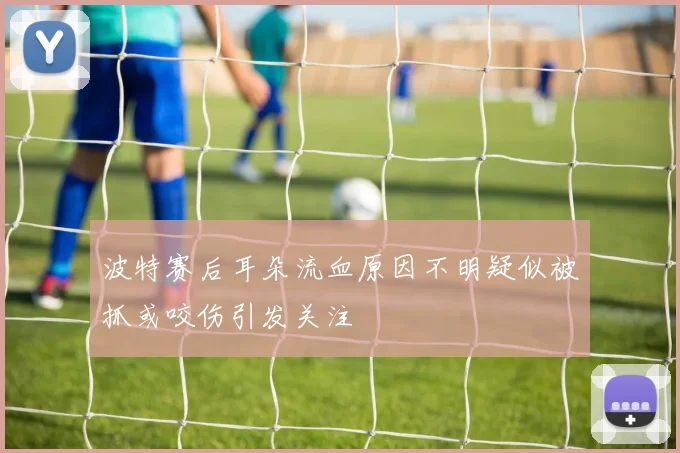 波特赛后耳朵流血原因不明疑似被抓或咬伤引发关注